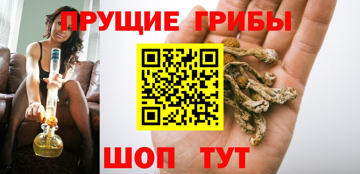 Смоленск  Псилоцибиновые грибы прущие грибы  что такое наркотик  Вход с VPN 